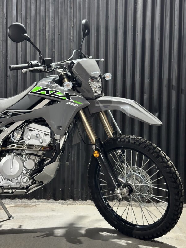 Kawasaki KLX 300 - Image 3