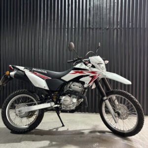 HONDA XR250 TORNADO 2024