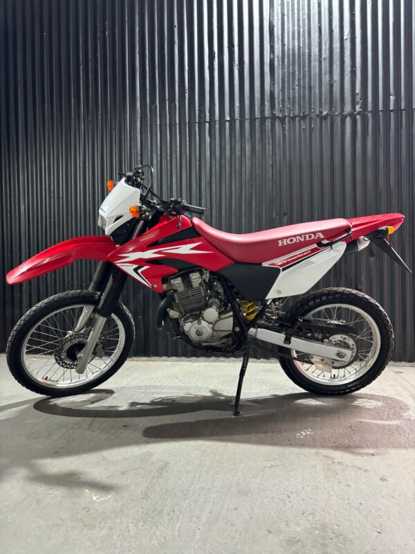 HONDA TORNADO 250 2017 - Image 7