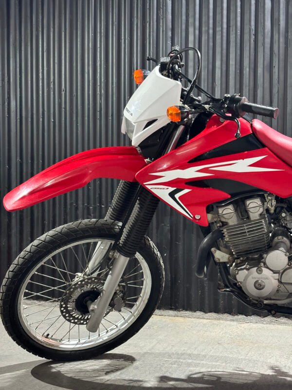 HONDA TORNADO 250 2017 - Image 6