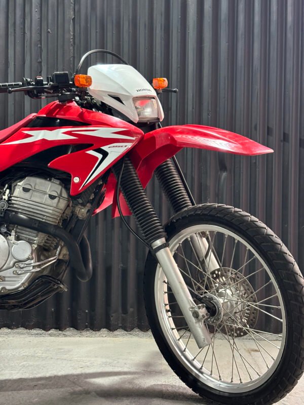 HONDA TORNADO 250 2017 - Image 2