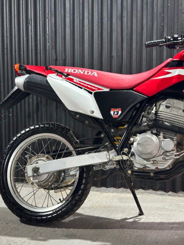 HONDA TORNADO 250 2017 - Image 3